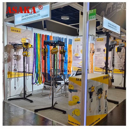 High Quality Electric Chain Hoist 125kg