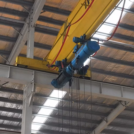 Fem Standard Electric Overhead Crane Bridge Crane